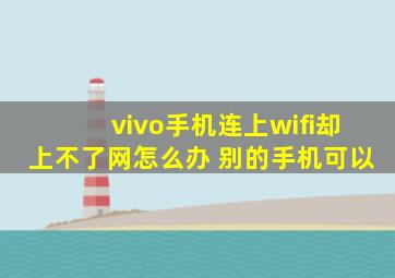 vivo手机连上wifi却上不了网怎么办 别的手机可以